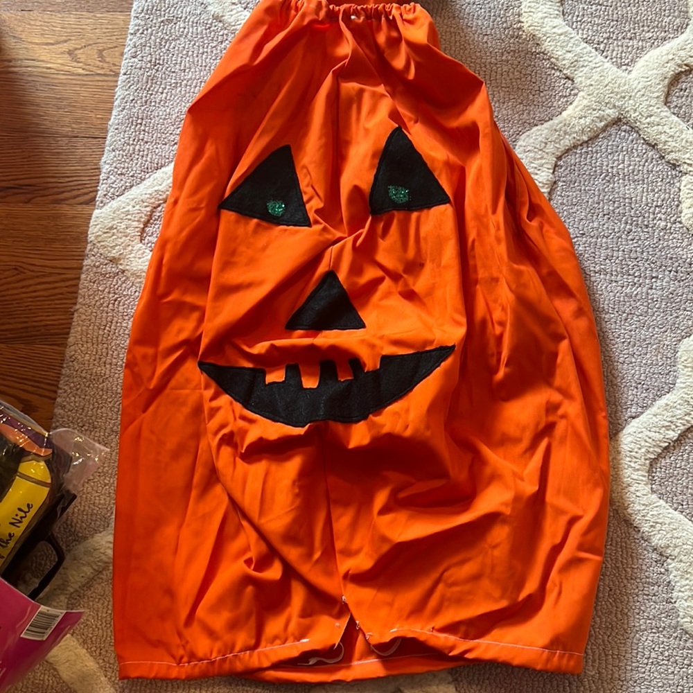 Home made pumpkin costume